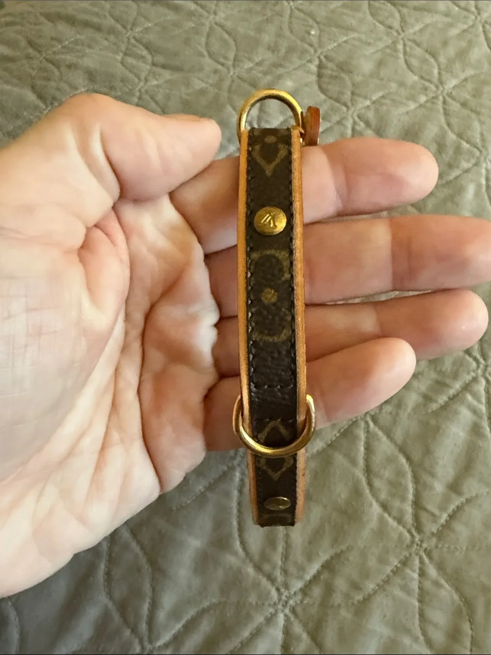 Louis Vuitton Barter Dog collar